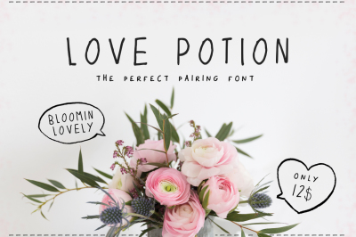Love Potion Font (Thin Fonts, Pairing Fonts, Handwritten Fonts)