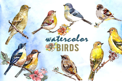 birds on a branch in watercolor