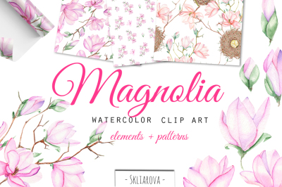 Spring Magnolia. Watercolor clip art.