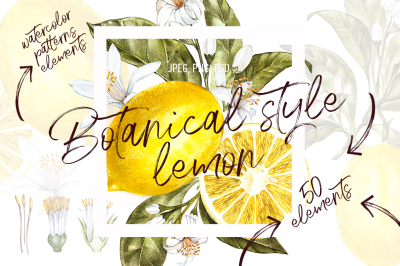 Lemon in botanical style