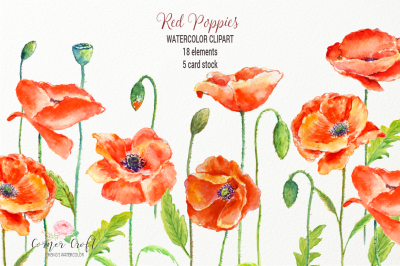 Watercolor Poppy Clipart