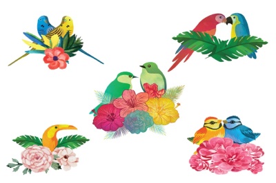 Beautiful Birds watercolor illustration Vector Pack