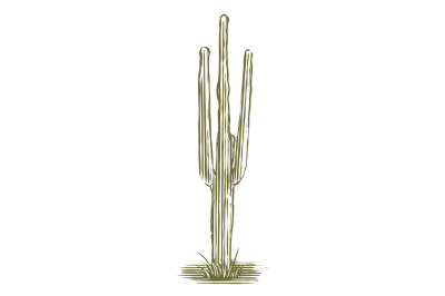 Woodcut Cactus