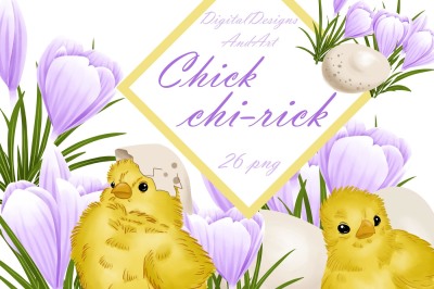 Easter chicken clipart