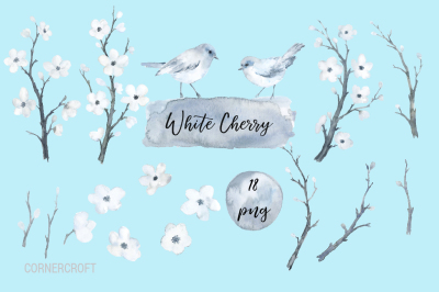 Watercolor white cherry blossoms