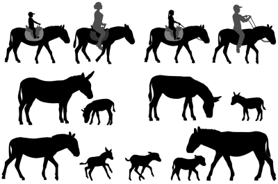 Silhouette of donkey and foal