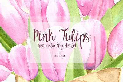 Watercolor Pink Tulips Clip Art Set