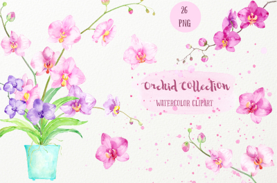 Watercolor Clipart Orchid Collection