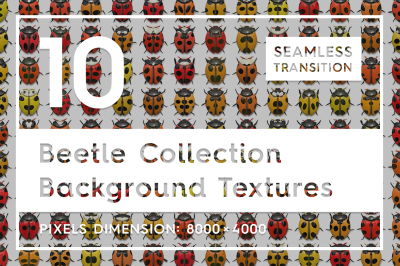 10 Beetle Collection Background Textures