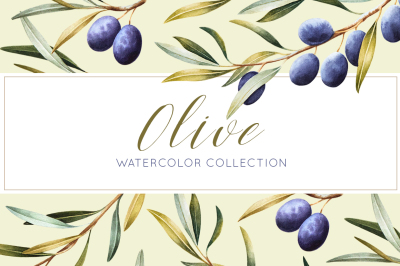 Olive watercolor collection