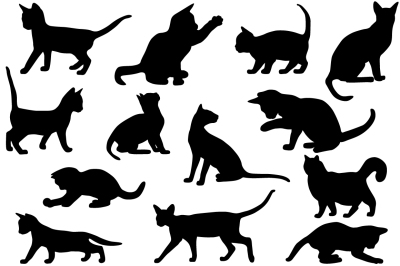 Silhouettes of cats
