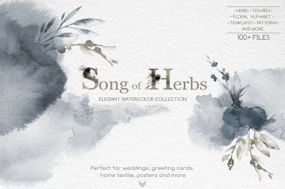Song of Herbs. Watercolor collection