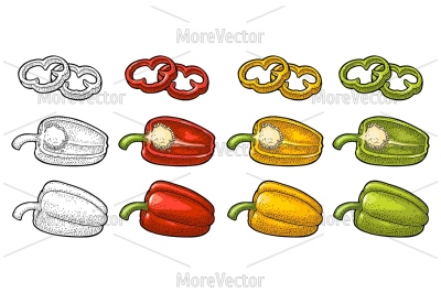 Sweet bell red, green, yellow pepper. engraving 