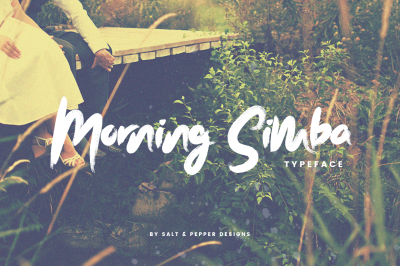 Morning Simba Font (Brush Fonts, Rough Fonts, Logo Fonts)