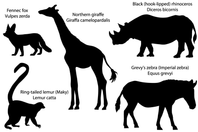 Silhouettes of animals of Africa: giraffe, rhino, zebra, lemur, fennec