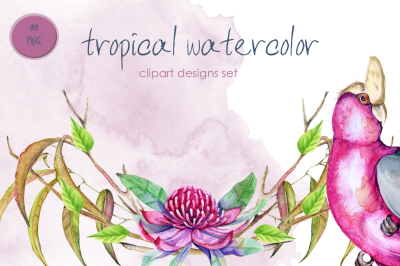 Tropical watercolor