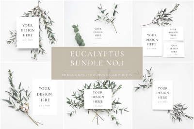Scandinavian Eucalyptus Bundle No. 1