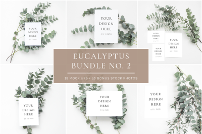 Scandinavian Eucalyptus Bundle No. 2 