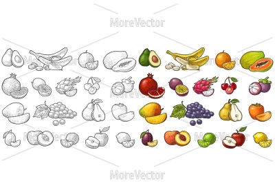 Set fruits. Vector color vintage engraving