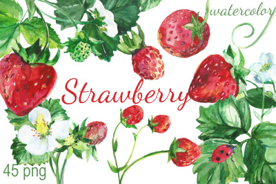 Watercolor Strawberry Clip art