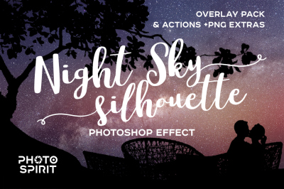 Night Sky Silhouette Actions
