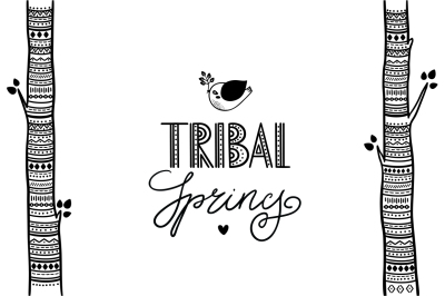 Tribal spring