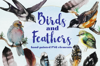 Birds and feathers watercolor clip art set