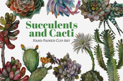 Succulents and cacti clip art set