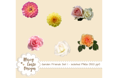 Garden Friends Set 1 - Real Flowers isolated PNGs