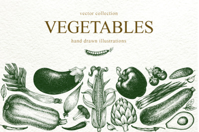 Vegetable Vector Collection