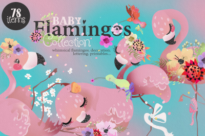 Baby Flamingo Collection