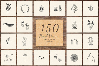 150 Hand Drawn Elements -Nature-