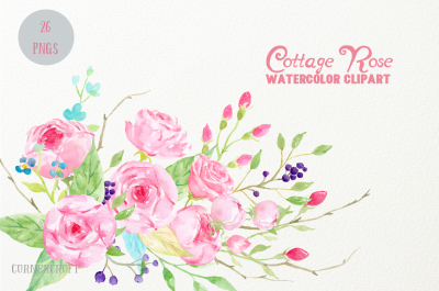 Watercolor Clip Art Cottage Rose