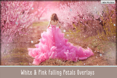 20 White and Pink Overlays