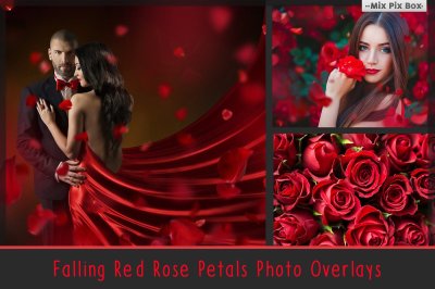 Falling Red Rose Petals Overlays