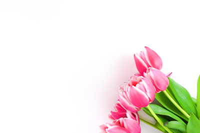 Pink Flowers for feminine Hero Image