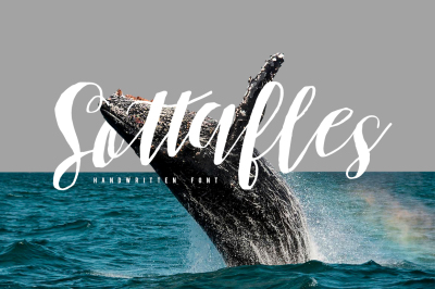 Sottafles Typeface + Swashes