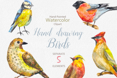 Digital Watercolor Birds Clip Art