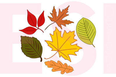 Autumn Leaves - SVG, DXF, EPS