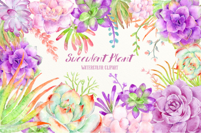 Watercolor Succulent Plant Purple
