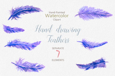 Painted Feather Clip Art, Digital Graphics