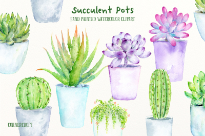Watercolor Succulent Pots