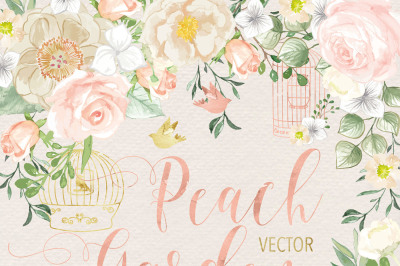 Vector Watercolor Rose Peach Garden clipart