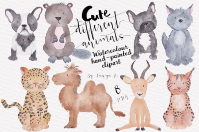 Different animals Watercolor Set