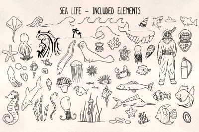 Sea Life - 60 Ocean Illustrations - Vector Graphics Bundle!