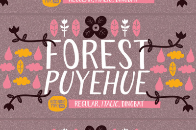 Forest Puyehue