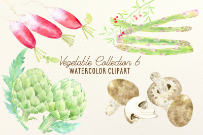 Watercolor Vegetable Collection 6
