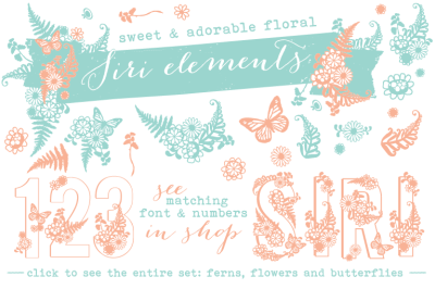 Siri Floral Elements Font