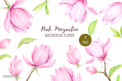 Watercolor Pink Magnolia Illustration
