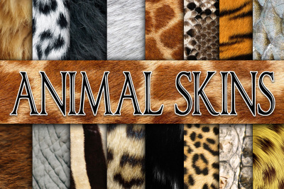 Animal Skin Textures Digital Paper